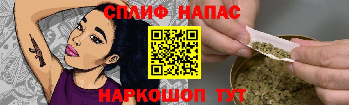 Конопля гибрид Сокол